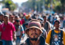 Inmigrantes Mexicanos vs. Venezolanos en EE.UU.: ¿Aliados o Rivales en la Lucha por el Sueño Americano? inmigrantes mexicanos venezolanos