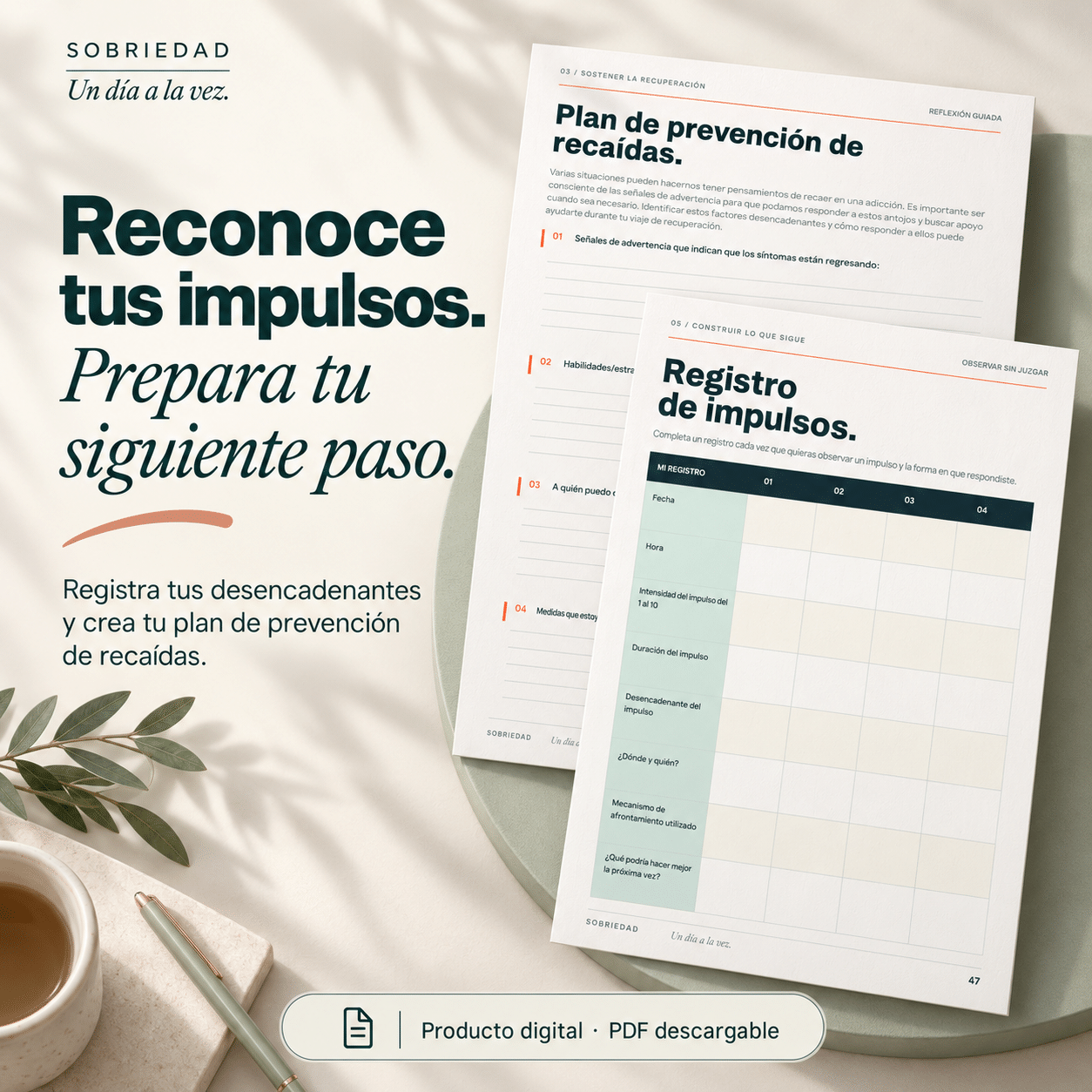 Esperanza Sin Alcohol: Tu Guía Hacia la Sobriedad | descarga instantánea - Image 3