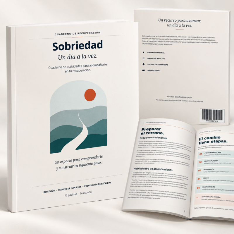 Sobriedad: un día a la vez. Cuaderno de recuperación de adicciones en español